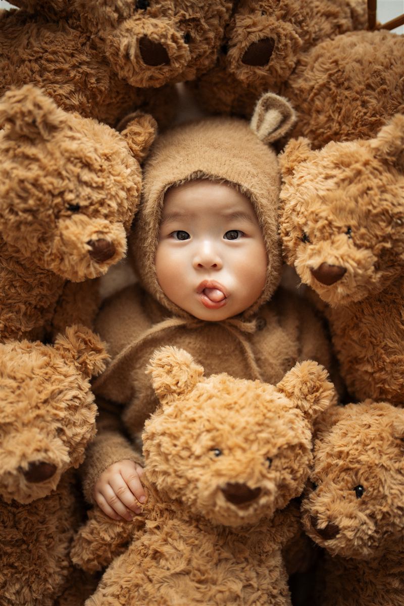 곰돌이 사진