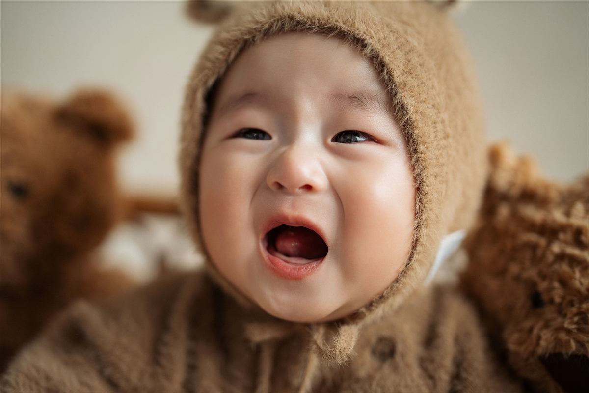 곰돌이 사진