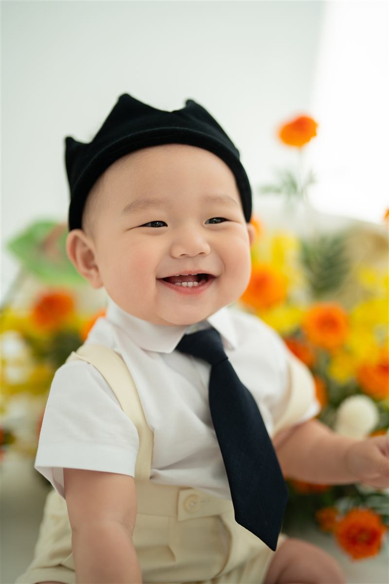 돌 컬렉션 사진