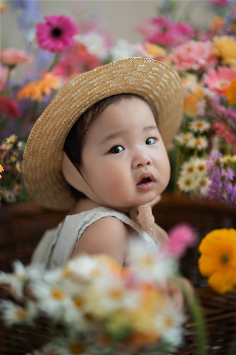 팝업(꽃)촬영 사진